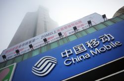 【7分钟教程】百色单位电话号码_哔哩哔哩-3
